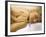 Young Woman Getting a Shoulder Massage-null-Framed Photographic Print