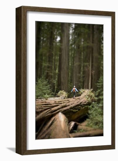 Young Woman Hiking in Humboldt Redwoods State Park, California-Justin Bailie-Framed Photographic Print