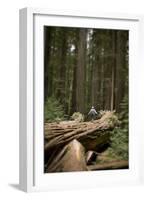 Young Woman Hiking in Humboldt Redwoods State Park, California-Justin Bailie-Framed Photographic Print