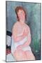 Young Woman in a Shirt, or the Little Milkmaid, 1917-18-Amedeo Modigliani-Mounted Giclee Print