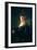 Young Woman in Fancy Dress-Rembrandt van Rijn-Framed Giclee Print