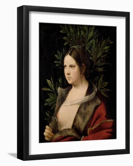 Young Woman (Laura)-Giorgione-Framed Giclee Print