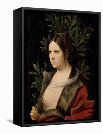 Young Woman (Laura)-Giorgione-Framed Stretched Canvas