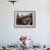 Young Woman Looking Over Camps Bay, Cape Town, South Africa, Africa-Yadid Levy-Framed Photographic Print displayed on a wall