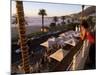 Young Woman Looking Over Camps Bay, Cape Town, South Africa, Africa-Yadid Levy-Mounted Photographic Print