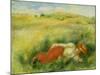 Young Woman, Lying in a Green Meadow-Pierre-Auguste Renoir-Mounted Giclee Print