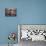 Young Woman Meditating at the Beach-null-Photographic Print displayed on a wall