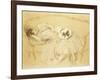 Young Woman on the Sofa; Jeune Femme Au Divan-Paul Cesar Helleu-Framed Giclee Print