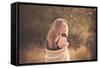 Young Woman Outdoors Wearing a Shawl-Sabine Rosch-Framed Stretched Canvas