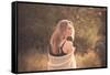 Young Woman Outdoors Wearing a Shawl-Sabine Rosch-Framed Stretched Canvas