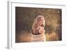 Young Woman Outdoors Wearing a Shawl-Sabine Rosch-Framed Photographic Print