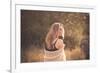 Young Woman Outdoors Wearing a Shawl-Sabine Rosch-Framed Photographic Print