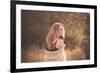 Young Woman Outdoors Wearing a Shawl-Sabine Rosch-Framed Photographic Print