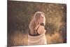 Young Woman Outdoors Wearing a Shawl-Sabine Rosch-Mounted Photographic Print