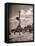 Young Woman Playing Ball on Beach-Philip Gendreau-Framed Stretched Canvas