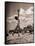 Young Woman Playing Ball on Beach-Philip Gendreau-Framed Stretched Canvas