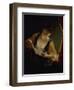 Young Woman Reading a Letter-Jean Raoux-Framed Giclee Print