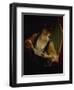 Young Woman Reading a Letter-Jean Raoux-Framed Giclee Print