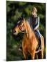 Young Woman Riding a Horse, Horse Riding Back.-Alexia Khruscheva-Mounted Photographic Print