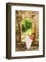 Young Woman Sitting in Window in Old Stone Wall-Macduff Everton-Framed Photographic Print