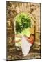 Young Woman Sitting in Window in Old Stone Wall-Macduff Everton-Mounted Photographic Print