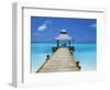 Young Woman Sitting on Bench at the End of Jetty, Maldives, Indian Ocean-Papadopoulos Sakis-Framed Photographic Print