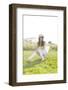 Young Woman Sitting Thoughtfully on a Meadow-Axel Schmies-Framed Photographic Print