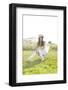 Young Woman Sitting Thoughtfully on a Meadow-Axel Schmies-Framed Photographic Print