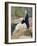 Young Woman Sitting upon Rocks-Harry Watson-Framed Giclee Print