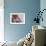 Young Woman Sitting with Head Covered-Carolina Hernandez-Framed Photographic Print displayed on a wall