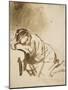 Young Woman Sleeping-Rembrandt van Rijn-Mounted Art Print