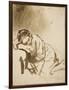 Young Woman Sleeping-Rembrandt van Rijn-Framed Art Print