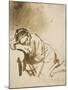 Young Woman Sleeping-Rembrandt van Rijn-Mounted Art Print