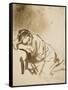 Young Woman Sleeping-Rembrandt van Rijn-Framed Stretched Canvas