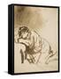 Young Woman Sleeping-Rembrandt van Rijn-Framed Stretched Canvas