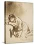 Young Woman Sleeping-Rembrandt van Rijn-Stretched Canvas