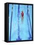 Young Woman Swimming Laps in a Pool-Bill Bachmann-Framed Stretched Canvas