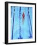 Young Woman Swimming Laps in a Pool-Bill Bachmann-Framed Photographic Print