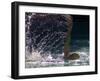 Young Woman Swimming the Backstroke in a Swimming Pool, Bainbridge Island, Washington, USA-null-Framed Photographic Print