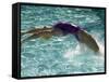 Young Woman Swimming the Backstroke in a Swimming Pool, Bainbridge Island, Washington, USA-null-Framed Stretched Canvas