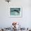 Young Woman Swimming the Backstroke in a Swimming Pool, Bainbridge Island, Washington, USA-null-Framed Photographic Print displayed on a wall