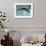 Young Woman Swimming the Backstroke in a Swimming Pool, Bainbridge Island, Washington, USA-null-Framed Photographic Print displayed on a wall