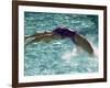 Young Woman Swimming the Backstroke in a Swimming Pool, Bainbridge Island, Washington, USA-null-Framed Photographic Print