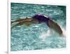 Young Woman Swimming the Backstroke in a Swimming Pool, Bainbridge Island, Washington, USA-null-Framed Photographic Print