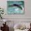 Young Woman Swimming the Backstroke in a Swimming Pool, Bainbridge Island, Washington, USA-null-Photographic Print displayed on a wall