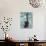 Young Woman Swimming the Backstroke in a Swimming Pool, Bainbridge Island, Washington, USA-null-Photographic Print displayed on a wall