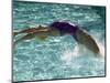 Young Woman Swimming the Backstroke in a Swimming Pool, Bainbridge Island, Washington, USA-null-Mounted Photographic Print