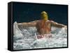 Young Woman Swimming the Butterfly Stroke in a Swimming Pool, Bainbridge Island, Washington, USA-null-Framed Stretched Canvas