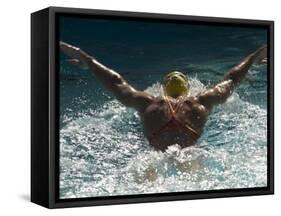 Young Woman Swimming the Butterfly Stroke in a Swimming Pool, Bainbridge Island, Washington, USA-null-Framed Stretched Canvas