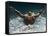 Young Woman Swimming the Butterfly Stroke in a Swimming Pool, Bainbridge Island, Washington, USA-null-Framed Stretched Canvas